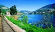 Dolina rzeki Douro