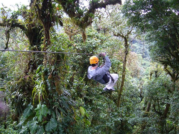 Canopy tour, Moteverde, Kostaryka