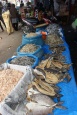 Suszone rybki - Sumatra - Indonezja