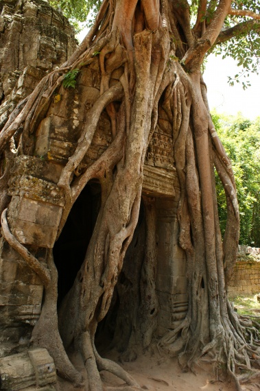 Angor Wat - Kambodża