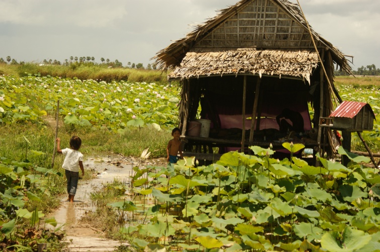 Farma Lotosów - Floating Village - Kambodża