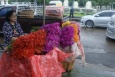 Flower Market - Storczyki - Bangkok - Tajlandia