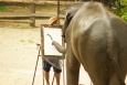  - Maesa Elephant Camp - Tajlandia