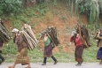 W dordze do Vang Vieng - Migawka z Laosu - Laos