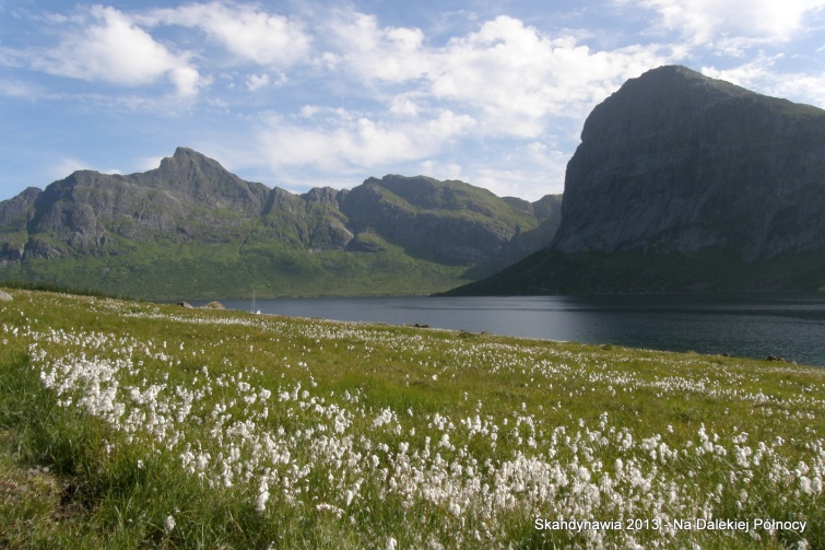 Okolice Selfjorden - Lofoty - Norwegia