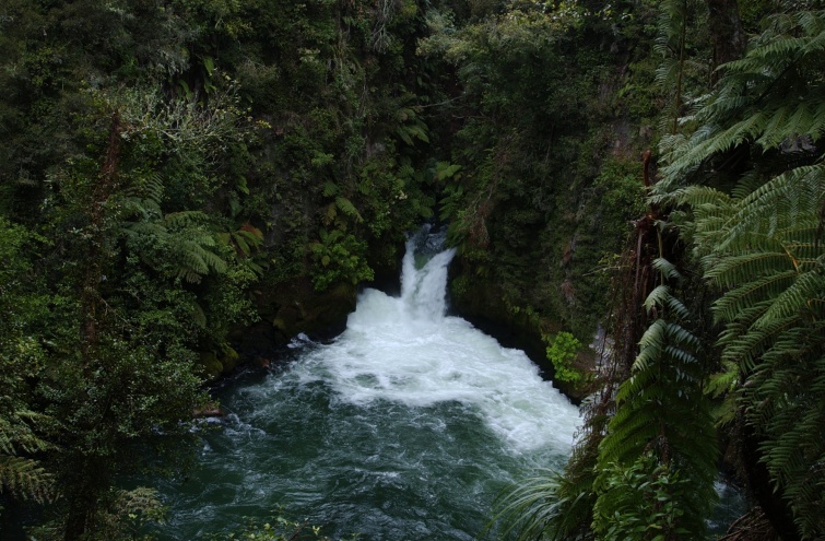 Wodospad Kaituna - Północna Wyspa - Nowa Zelandia