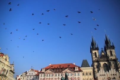 Praga - Czechy